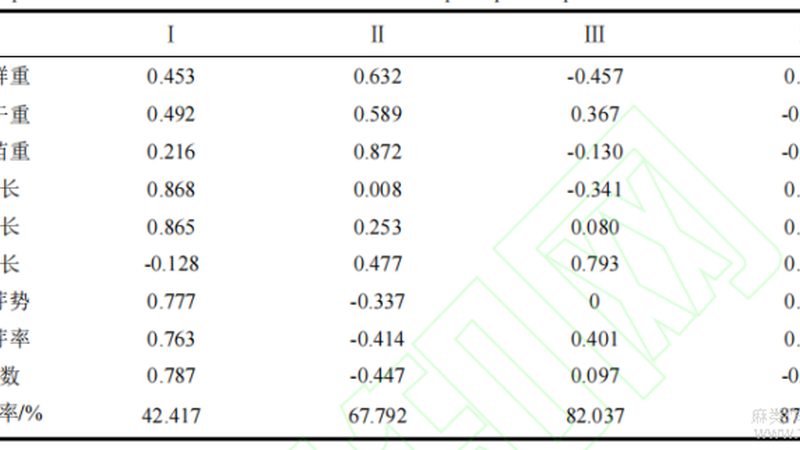 广州电动叉车：价格与参数的平衡艺术